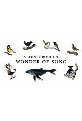 大卫·爱登堡：歌声奇迹 Attenborough's Wonder of Song