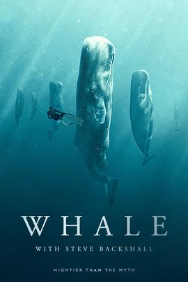 与鲸共舞 第一季 Whale with Steve Backshall Season 1