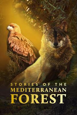 神奇的地中海盆地 Stories of the Mediterranean Forest