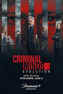 犯罪心理：演变 第十七季 Criminal Minds: Evolution Season 17