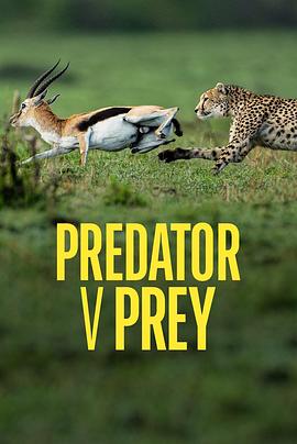 掠食者联盟 第一季 Predator v Prey Season 1