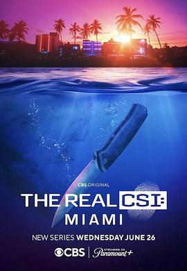真实犯罪现场调查：迈阿密 The Real CSI: Miami