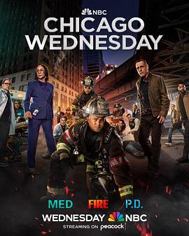 芝加哥急救 第十季 Chicago Med Season 10