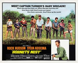 天龙特攻队 Hornets' Nest