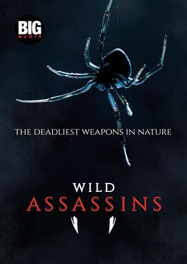 荒野刺客 第一季 Wild Assassins Season 1