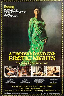 一千零一情欲之夜 A Thousand and One Erotic Nights