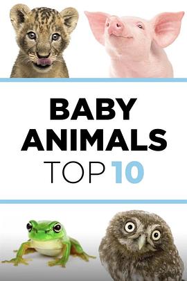 动物宝宝大比拼 第一季 Baby Animals Top 10 Season 1