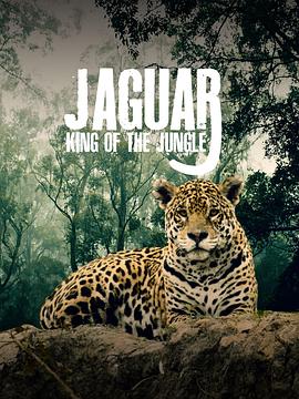 美洲豹的生存挑战 Jaguar: King of the Jungle