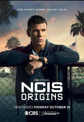 海军罪案调查处：溯源 第二季 NCIS: Origins Season 2