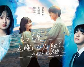 要再做一次夫妇吗？～伪装夫妇～ もう1度夫婦になりますか？〜カモフラージュ夫婦〜