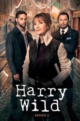 野探哈莉 第五季 Harry Wild Season 5