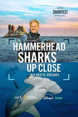 摄影师贝尔蒂与双髻鲨零距离 Hammerhead Sharks Up Close with Bertie Gregory