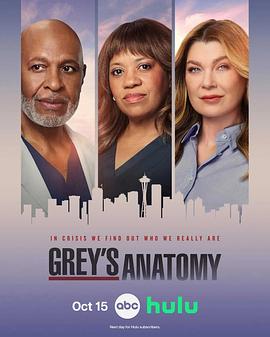 实习医生格蕾 第二十三季 Grey’s Anatomy Season 23