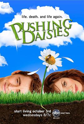 灵指神探 第一季 Pushing Daisies Season 1