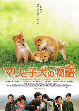 爱犬的奇迹 マリと子犬の物語